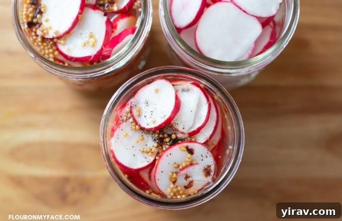 Three jars of pickled radishes, colorful and ready to be enjoyed.
