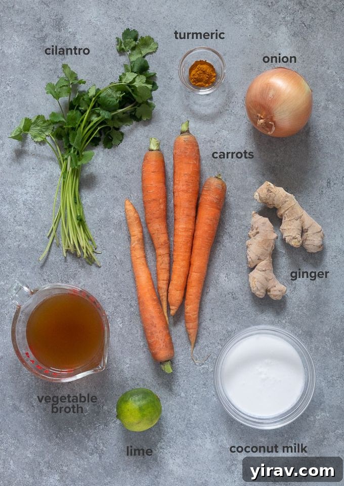 Golden Ginger Carrot Elixir 4 Carrot soup recipe ingredients
