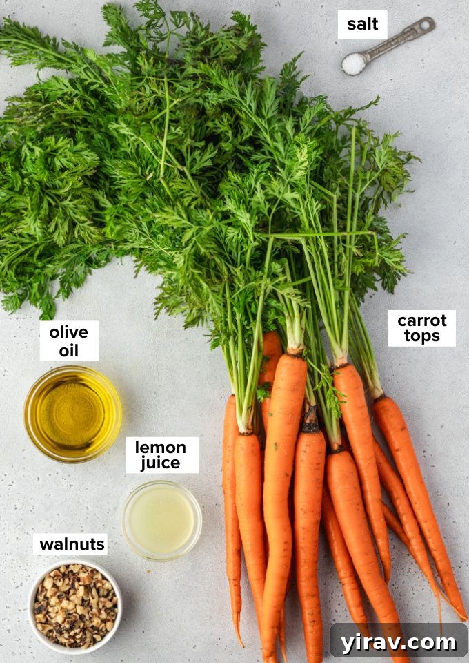 Vibrant Carrot Greens Pesto 4 All the fresh ingredients laid out for making carrot top pesto: carrot greens, walnuts, lemon, and olive oil.