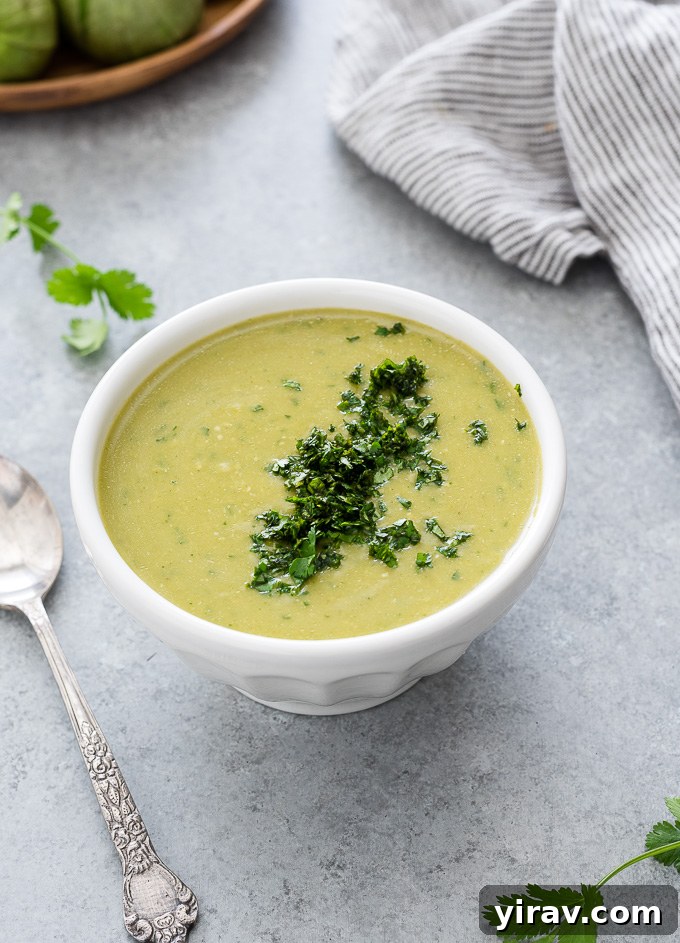 Green enchilada sauce in a bowl with chopped cilantro