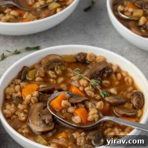 Spoonful of mushroom barley soup in a bowl