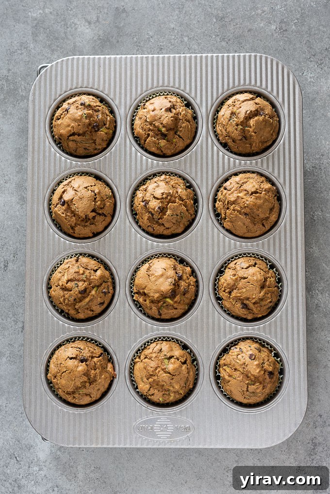 Healthy zucchini muffins in muffin pan