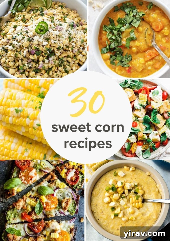 A vibrant collage of various corn dishes, including corn on the cob, salads, and soups, highlighting the versatility of fresh corn in summer recipes.