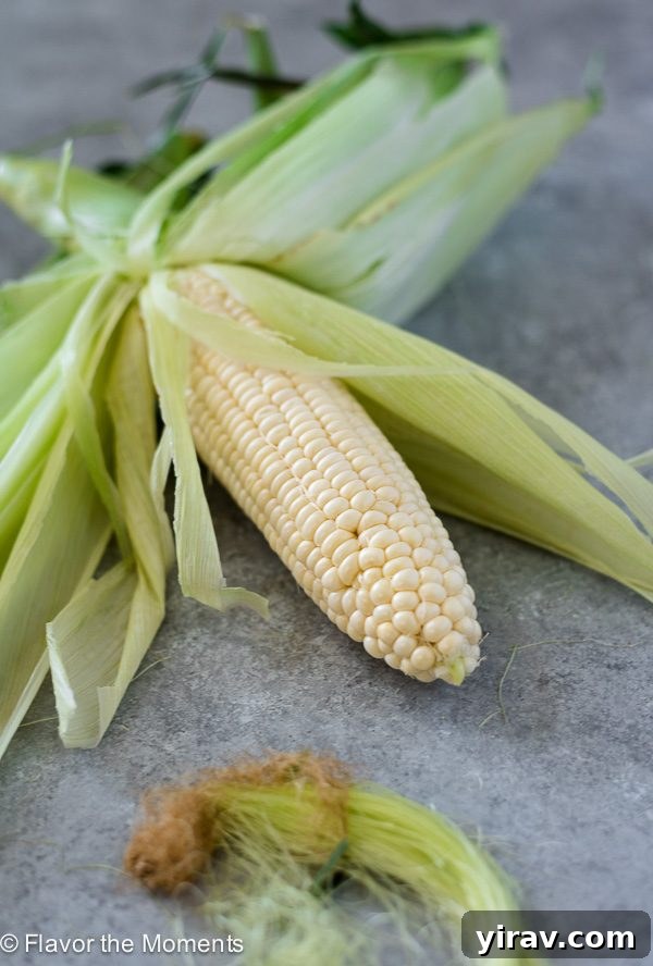 A close-up of a partially shucked ear of corn, showing bright yellow kernels and fresh silk, ready for preparation.