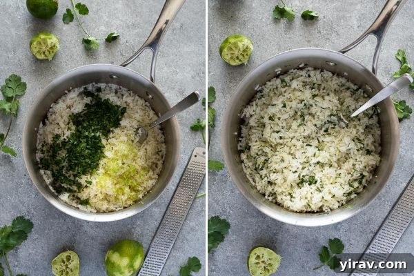 Two stages of cilantro lime rice preparation: on the left, plain cooked rice; on the right, the same rice after fresh cilantro and lime juice have been mixed in, illustrating the final flavor infusion.