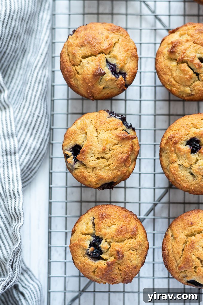 Healthy banana blueberry muffins