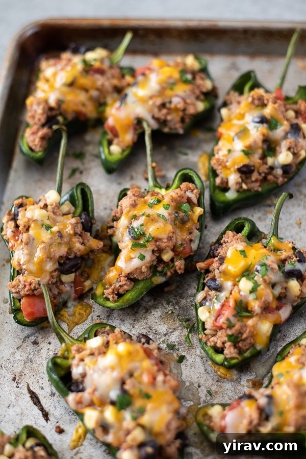 Zesty Southwestern Stuffed Poblanos 6 stuffed poblano peppers on a sheet pan