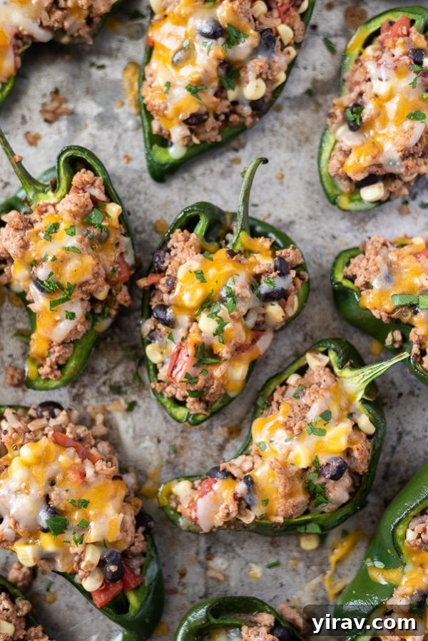 Zesty Southwestern Stuffed Poblanos 7 close up shot of stuffed poblano peppers with melted cheese on top