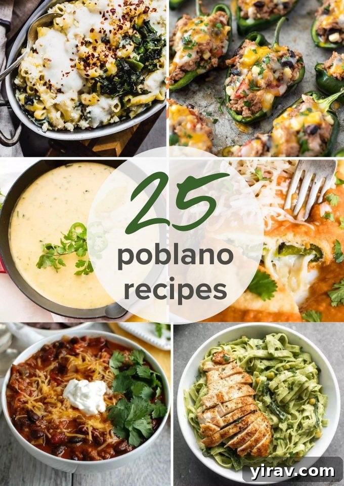 Collage of 25 diverse poblano recipes showcasing stuffed peppers, chili, and dips