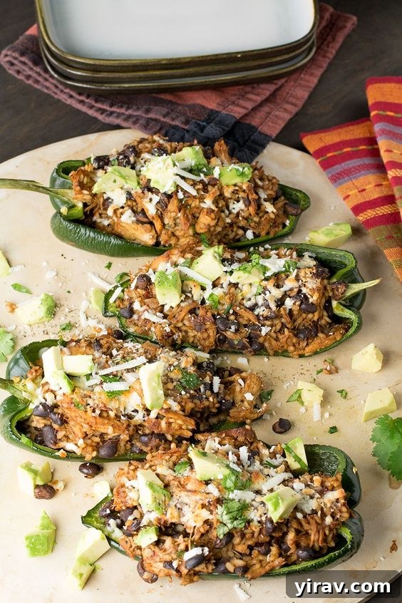 Four beautifully arranged chicken and black bean stuffed poblano peppers on a dinner plate.
