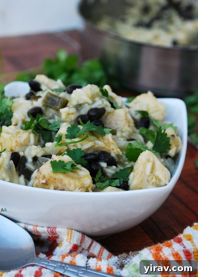 A delicious bowl of One Pot Green Chili Chicken and Rice, ready to serve as a complete meal.