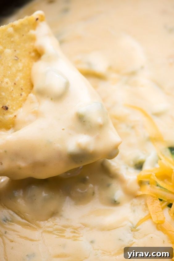 A crispy tortilla chip being dipped into a luscious Fire Roasted Poblano Queso Dip, showcasing its creamy texture.