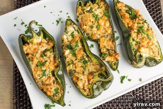 Overhead view of four elegant Cajun Shrimp Stuffed Poblano Peppers, ready for a gourmet meal.