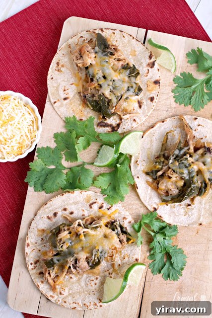 Overhead view of three savory Slow Cooker Chipotle Chicken & Poblano Street Tacos, presented appealingly.