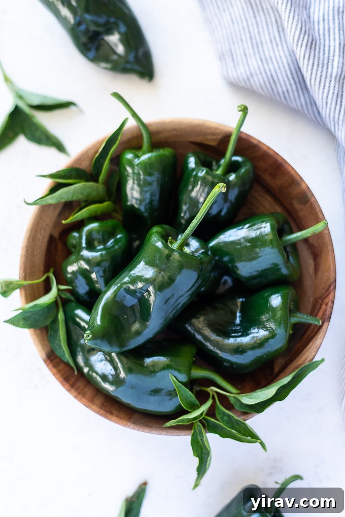 Overhead view of several glossy poblano peppers in a rustic teak bowl, highlighting their fresh appearance.