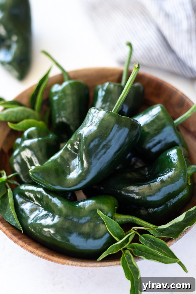 A collection of fresh poblano peppers artfully arranged in a wooden bowl with a rustic linen cloth alongside