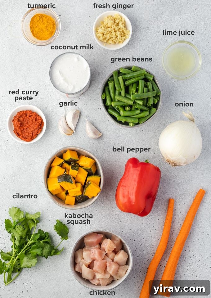 Creamy Thai Pumpkin Chicken Curry 4 A flat lay image showing all the fresh ingredients needed for Thai pumpkin curry: kabocha squash, chicken breast, bell pepper, green beans, ginger, garlic, cilantro, and spices.