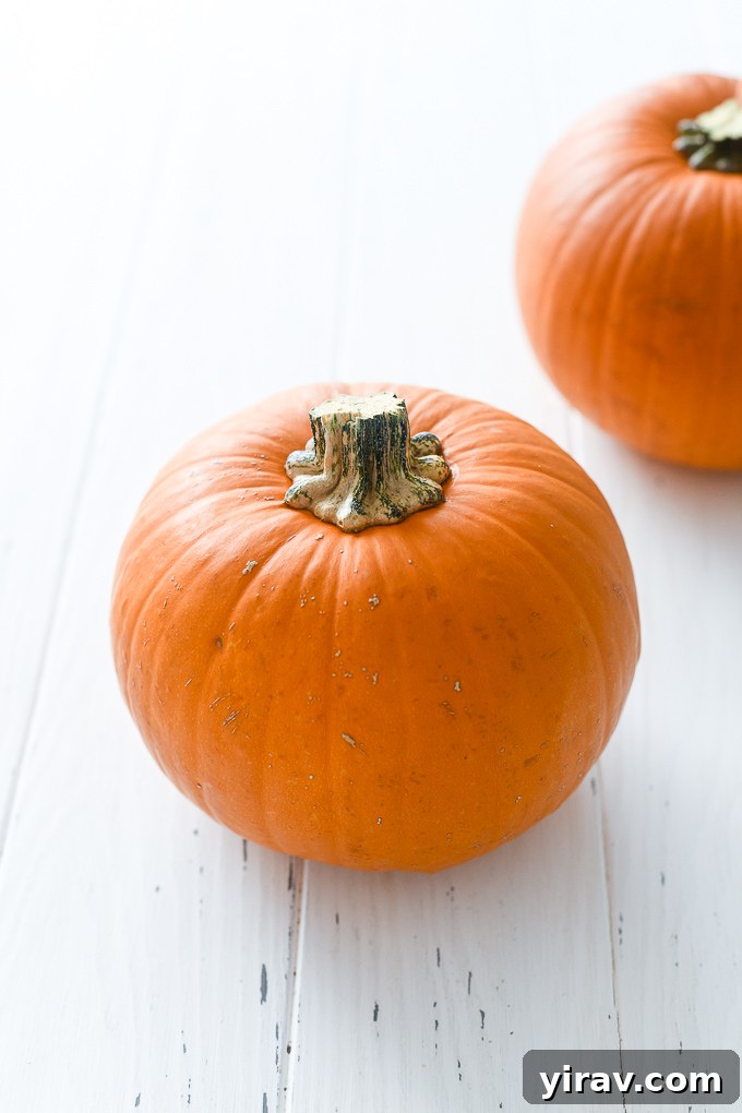 Effortlessly Make Your Own Pumpkin Puree 3 Sugar pie pumpkin