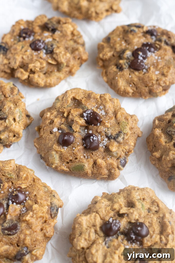 Pumpkin Spice Sunrise Bites 3 Freshly baked pumpkin oatmeal breakfast cookies cooling on parchment paper.