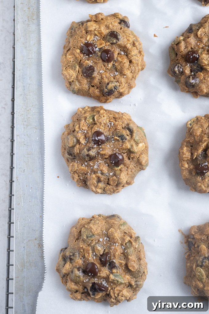 Pumpkin Spice Sunrise Bites 7 Baked pumpkin breakfast cookies on a baking sheet, golden and perfectly set.