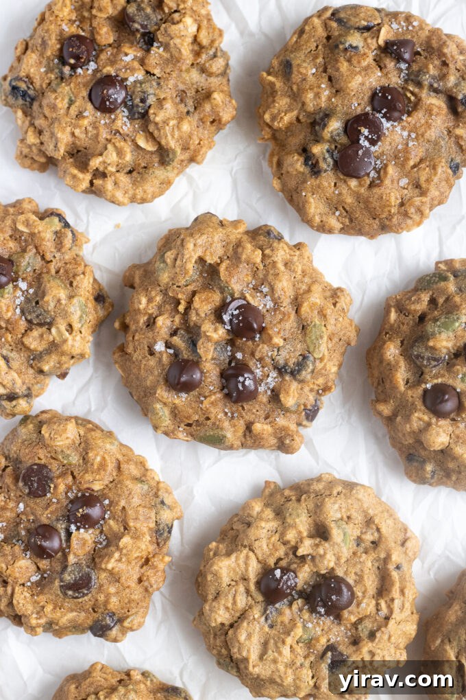 Pumpkin Spice Sunrise Bites 8 Gluten-free pumpkin breakfast cookies arranged neatly on parchment paper.