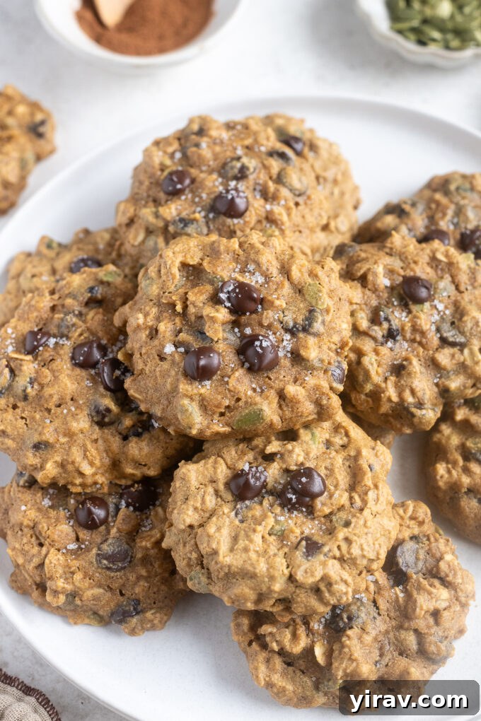 Pumpkin Spice Sunrise Bites 9 Perfectly baked pumpkin breakfast cookies arranged on a white plate, showcasing their inviting texture.