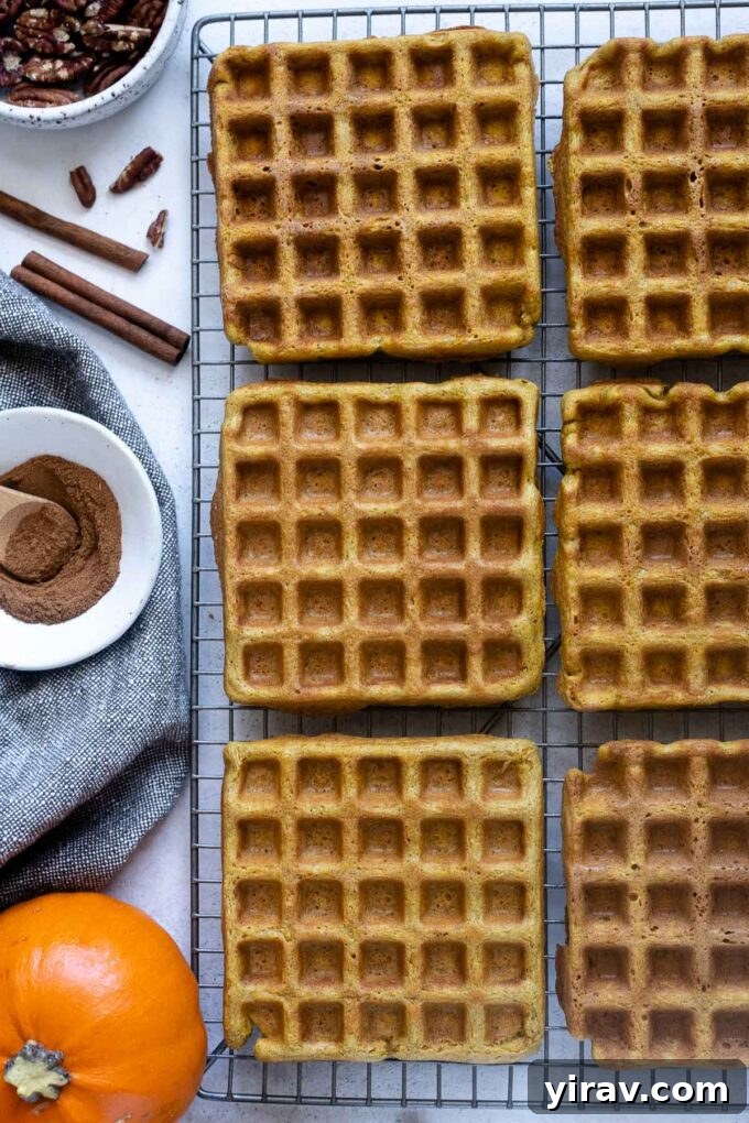 Freshly cooked, whole grain pumpkin waffles cooling on a wire rack, ready to be enjoyed or stored.