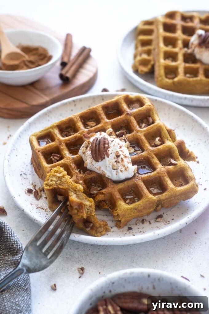 A close-up of a golden oat flour pumpkin waffle with a bite taken out, revealing its fluffy interior.