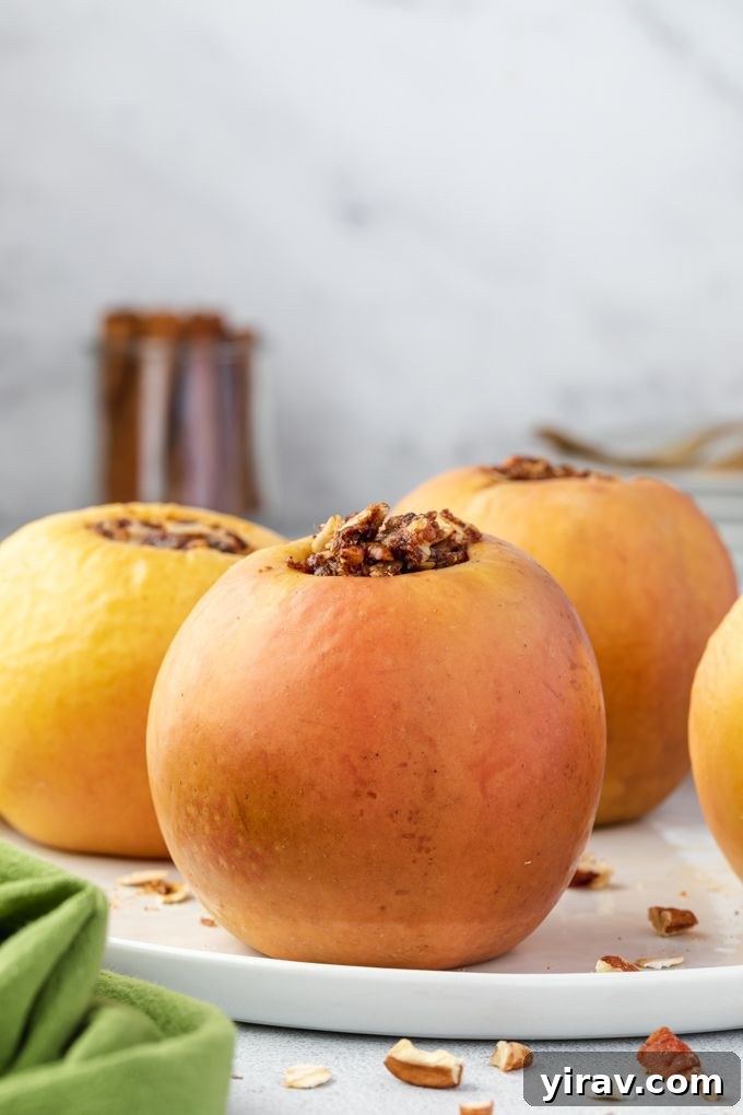 Baked Apple Bliss 3 Two beautifully baked apples presented on a rustic serving plate, ready to be enjoyed.