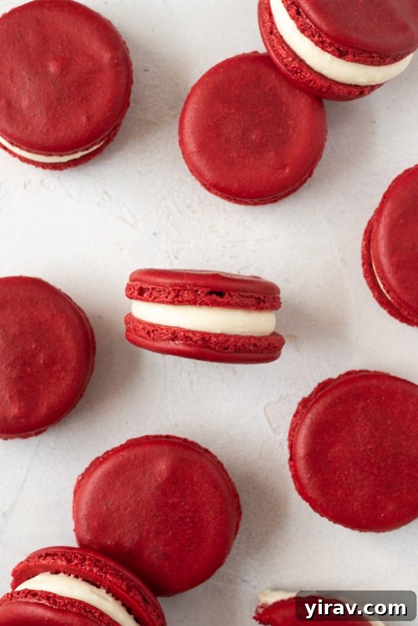overhead shot of red velvet macarons