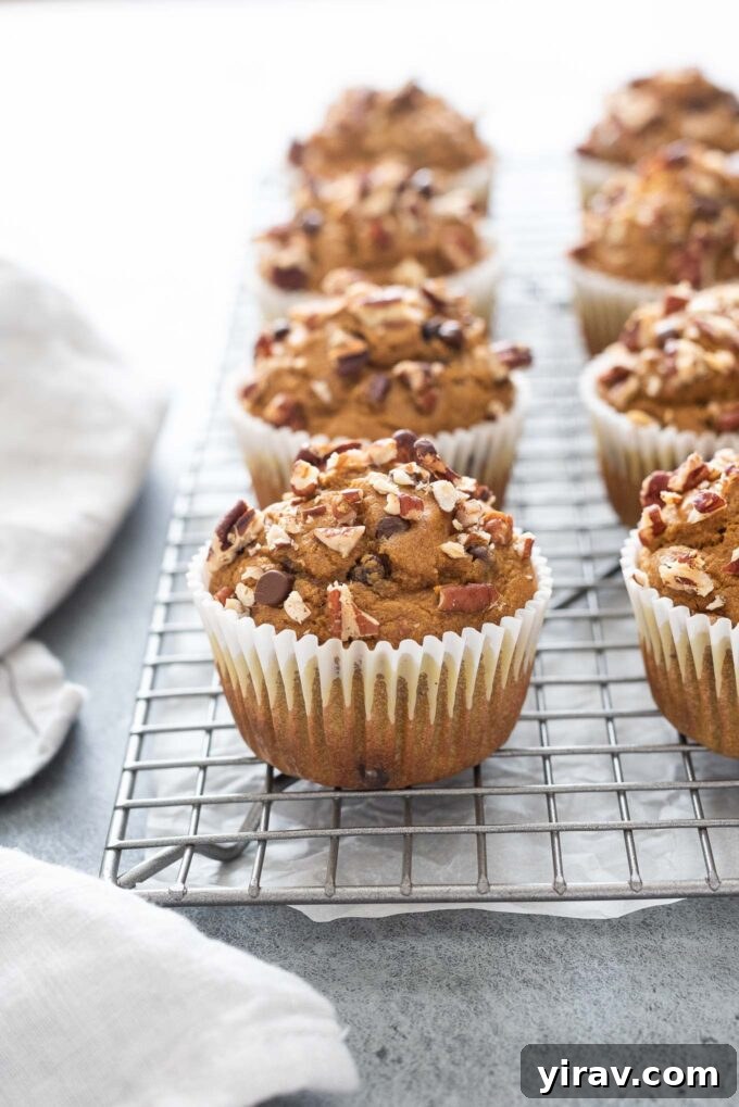 Oat flour pumpkin muffins on a wire rack cooling down, with a golden-brown top.