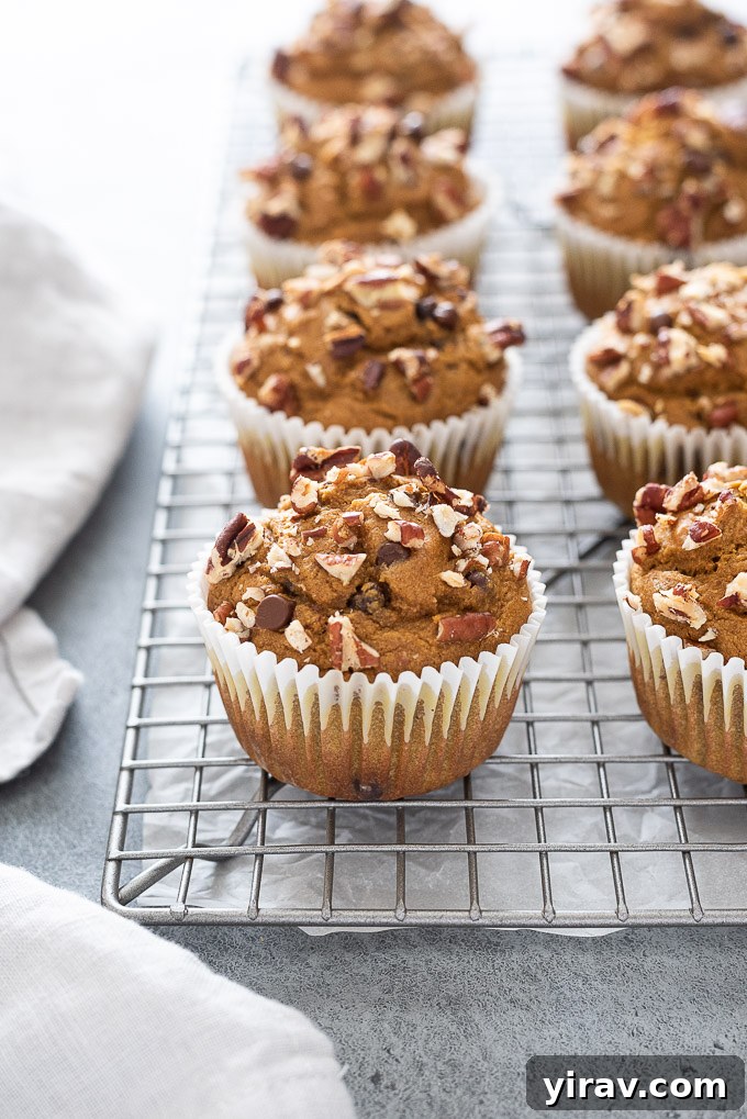 Pumpkin oatmeal muffins cooling on a wire rack after baking, showing their perfectly domed tops.