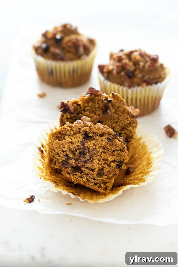 Pumpkin oatmeal muffins cut in half to show their fluffy internal texture and melted chocolate chips.