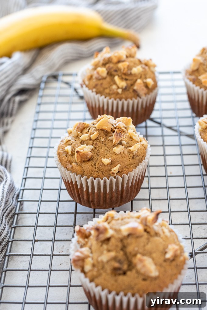 Freshly baked healthy banana muffins cooling on a wire rack, ready to be enjoyed.