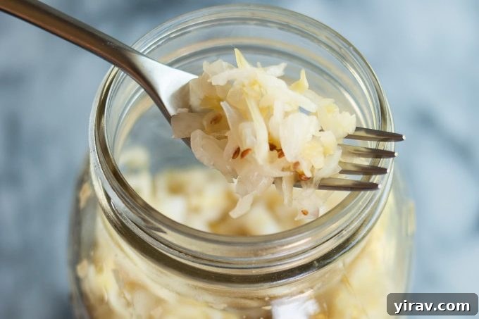 A forkful of homemade sauerkraut being lifted from a mason jar, highlighting its crunchy texture.