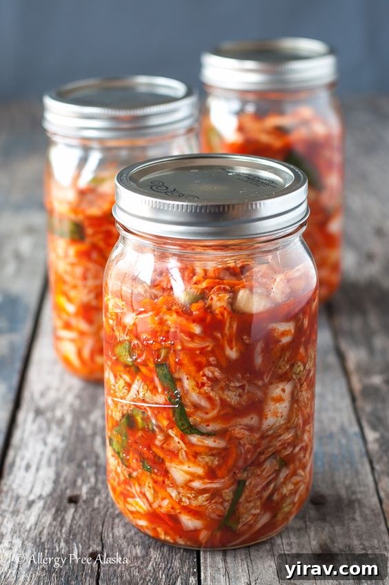 Three jars of vibrant homemade kimchi, showcasing its fermentation process.