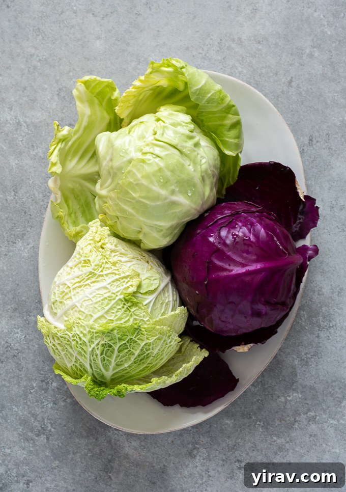 A vibrant platter showcasing various types of cabbage: green, red, Napa, and Savoy, highlighting their distinct colors and textures.