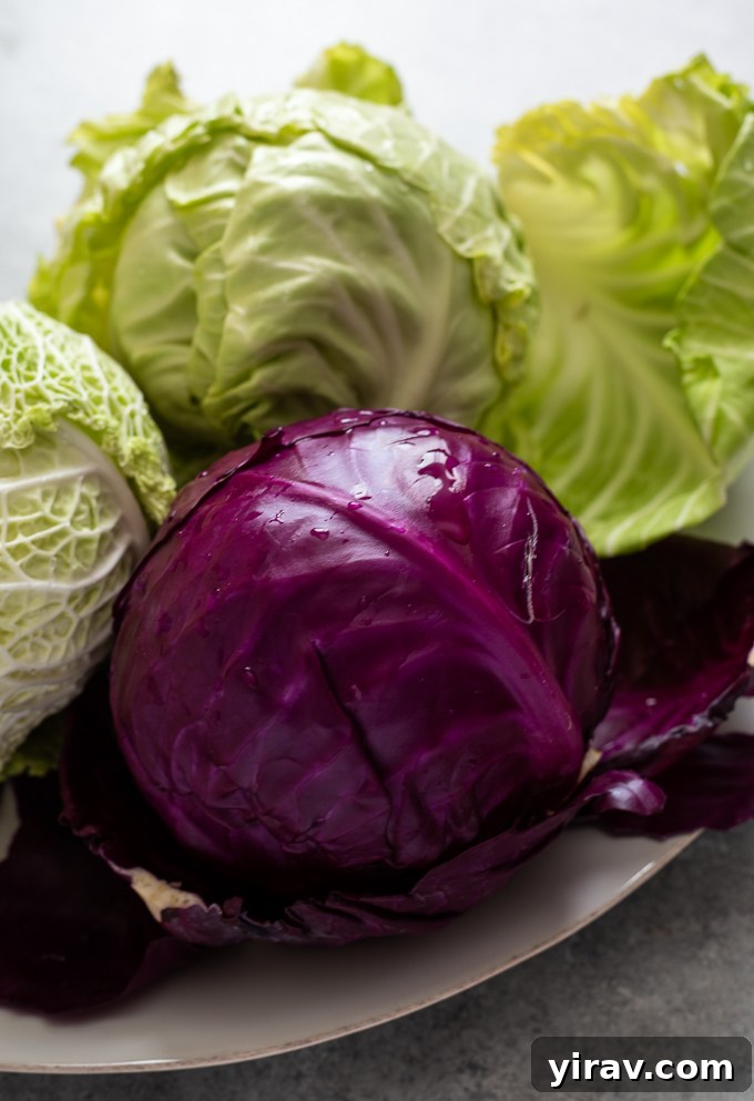 A beautiful purple cabbage displayed on a platter with other fresh cabbage varieties, ready for culinary exploration.