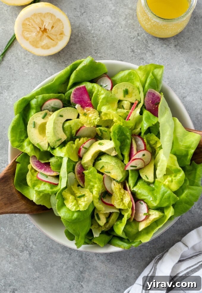 A refreshing butterhead lettuce salad, featuring creamy avocado, crisp radishes, and a zesty lemon vinaigrette, served in a white ceramic bowl.