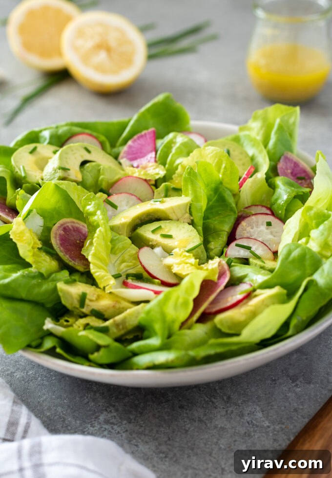 A serving bowl filled with a refreshing easy butter lettuce salad, dressed with lemon vinaigrette, ready to be enjoyed.