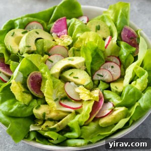 Butter lettuce salad in a bowl with avocado and radish.