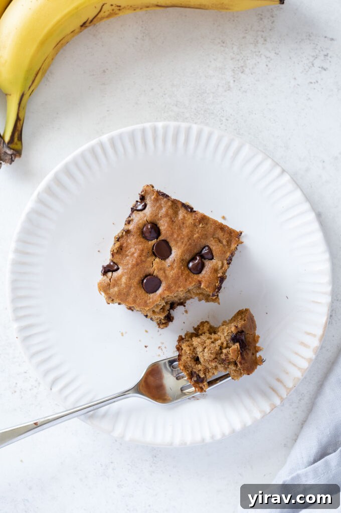 Golden Banana Bites 3 A healthy banana chocolate chip cake with a bite taken out, showing the moist interior.
