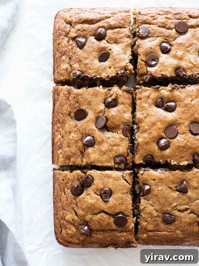 Golden Banana Bites 5 Squares of banana oat snack cake neatly arranged on a cooling rack.