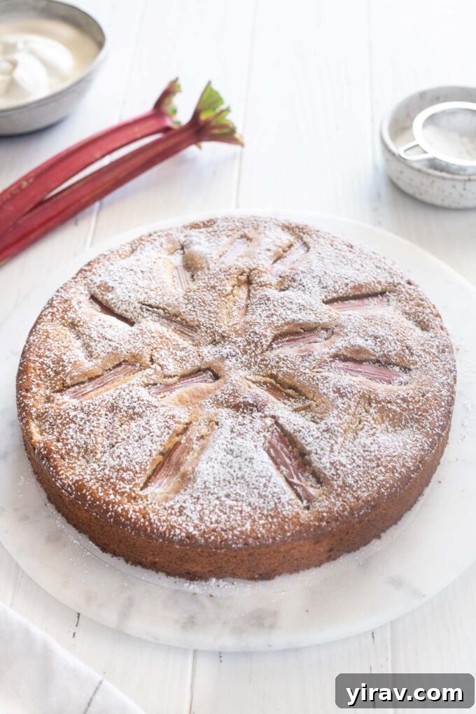 Sweet and Tart Rhubarb Cake 2 A slice of moist rhubarb cake on a marble board, garnished with fresh rhubarb stalks