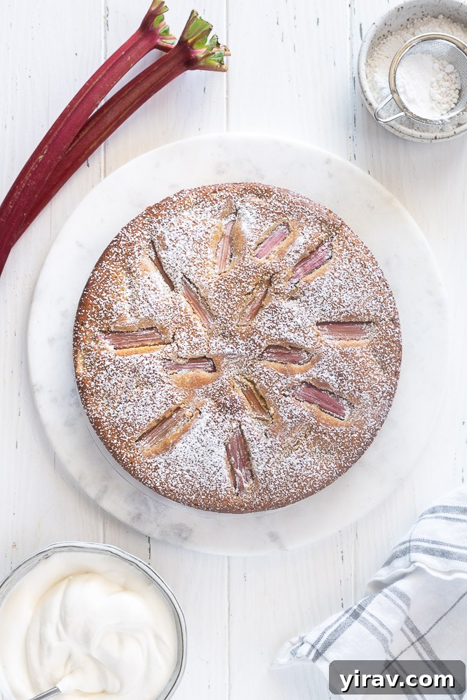 Sweet and Tart Rhubarb Cake 3 Rhubarb cake with fresh rhubarb stalks and a bowl of whipped cream