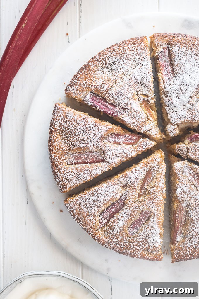 Sweet and Tart Rhubarb Cake 7 A slice of rhubarb almond cake on a plate, dusted with powdered sugar