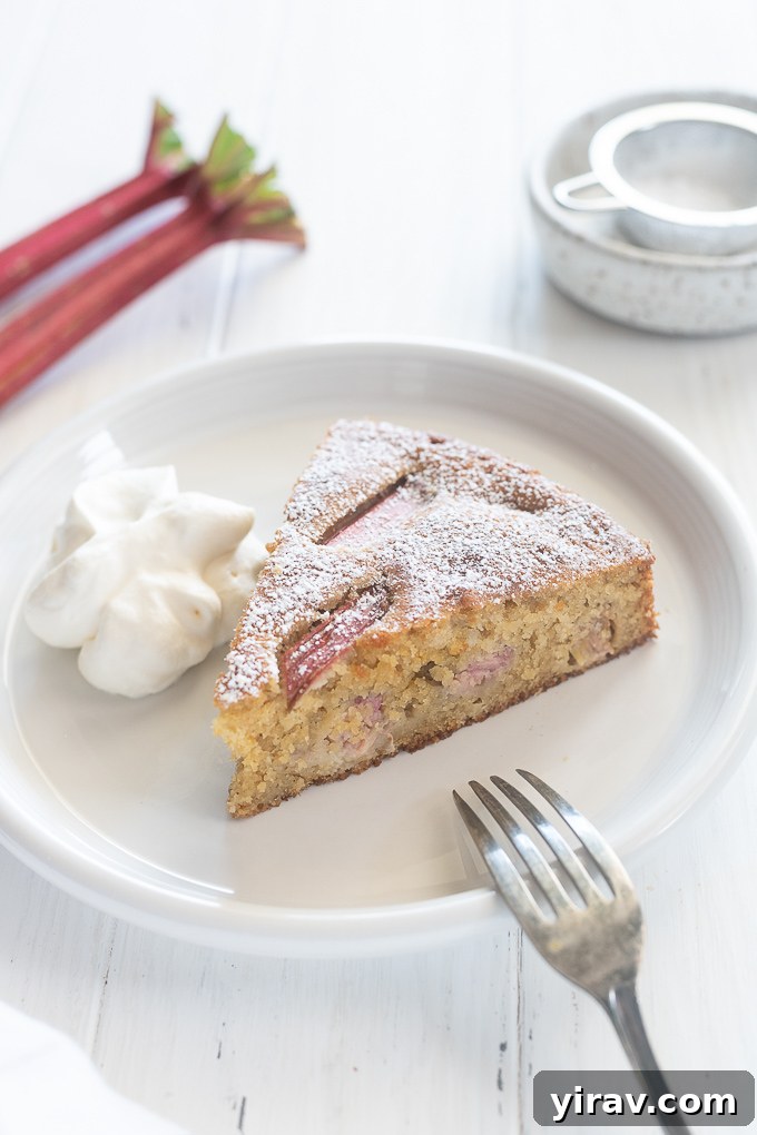 Sweet and Tart Rhubarb Cake 8 A slice of rhubarb cake on a white plate with a spoonful of whipped cream on the side