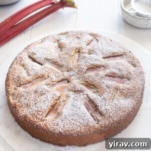 Sweet and Tart Rhubarb Cake 9 Rhubarb cake on a marble board