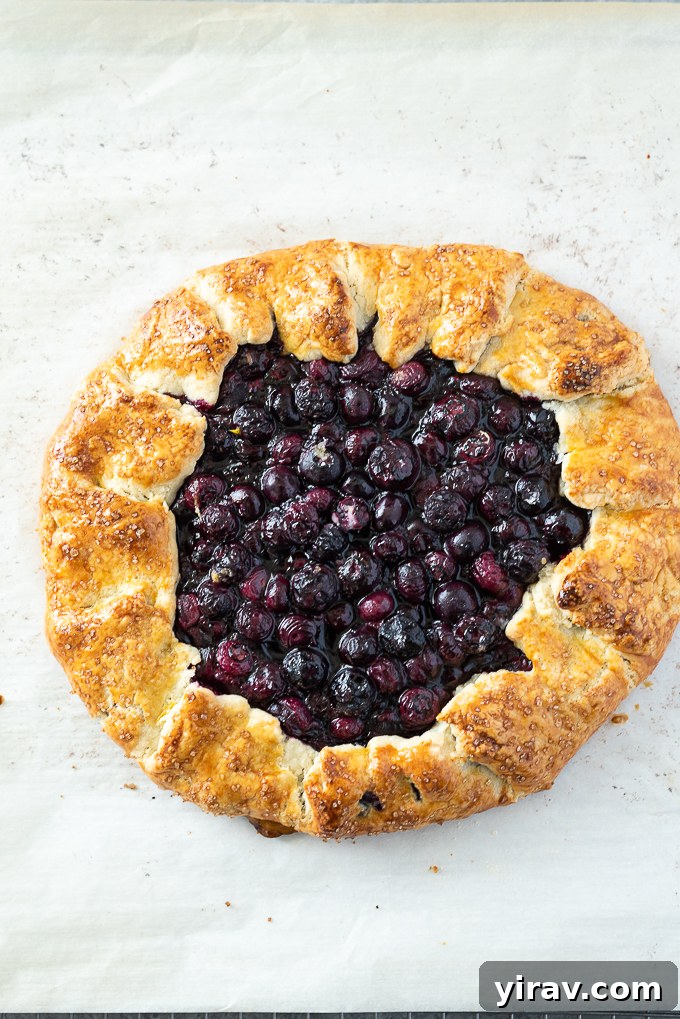 Baked blueberry galette.