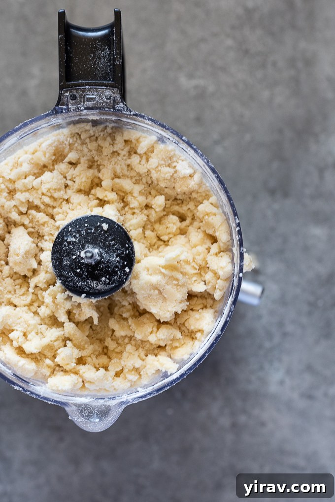 Combined galette dough in food processor.